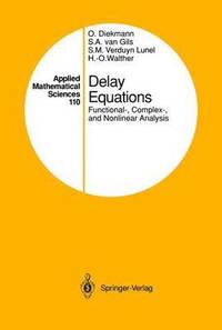 bokomslag Delay Equations