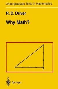 bokomslag Why Math?