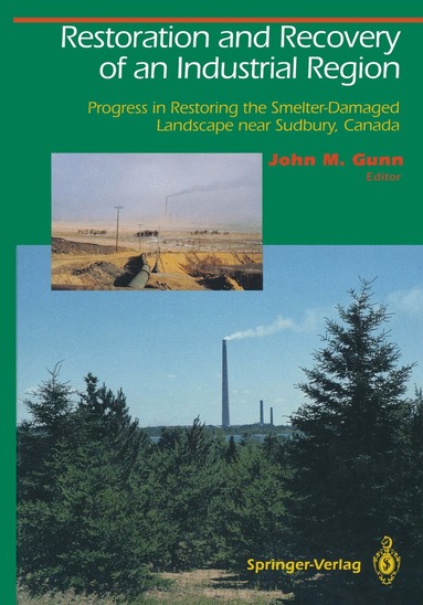 John M. Gunn, John M. Gunn - Restoration and Recovery of an Industrial Region, Inbunden