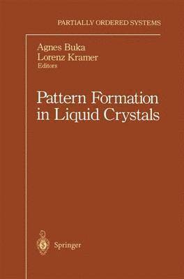 Pattern Formation in Liquid Crystals 1