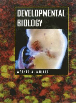 bokomslag Developmental Biology