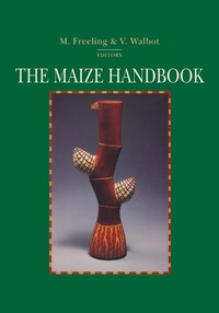 bokomslag Maize Handbook