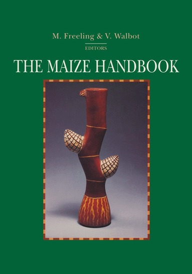 Freeling, Michael Freeling, Virginia Walbot - Maize Handbook, Häftad