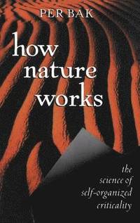 bokomslag How Nature Works: The Science of Self-Organized Criticality