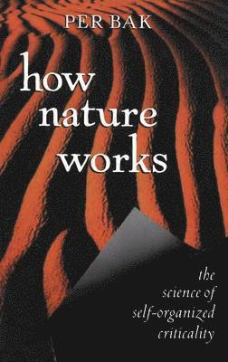 bokomslag How Nature Works: The Science of Self-Organized Criticality