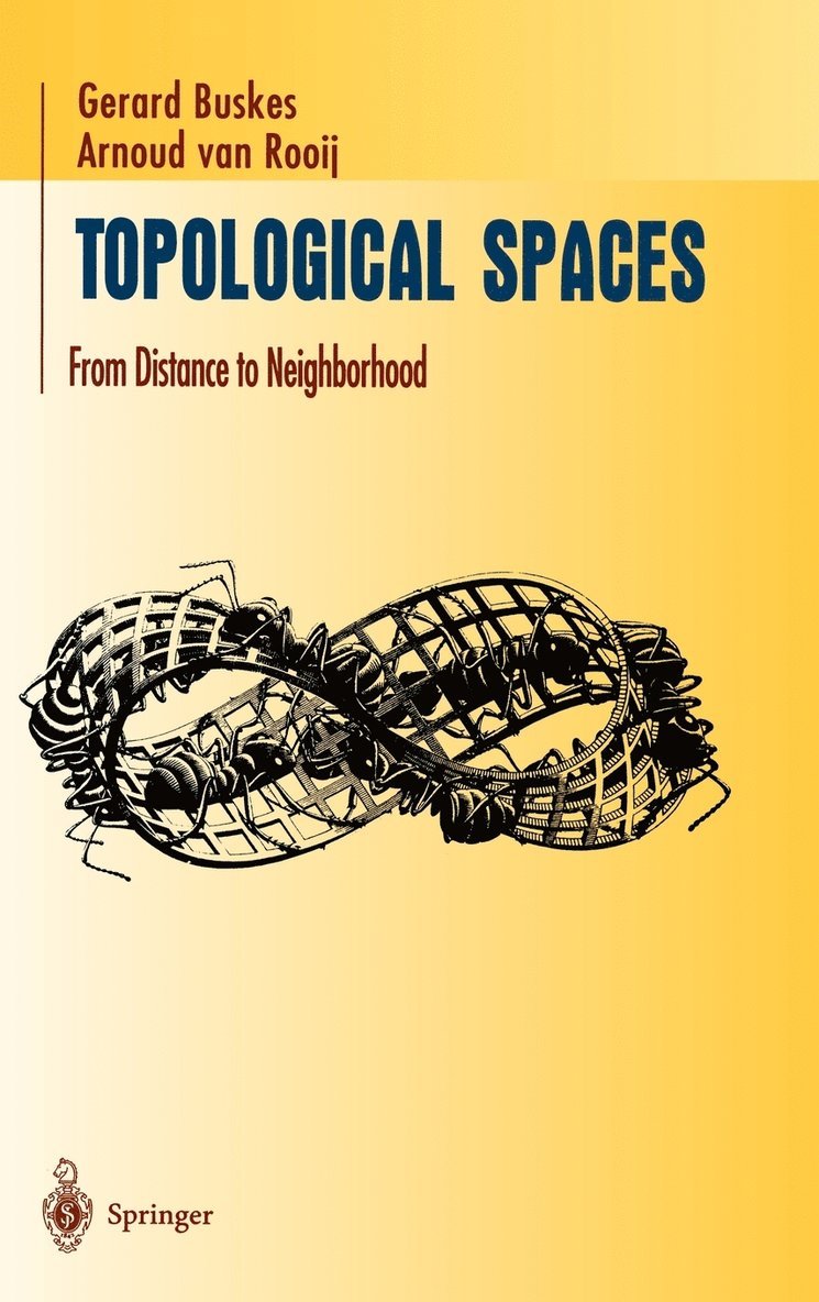 Gerard Buskes, Arnoud van Rooij, Arnoud Van Rooij - Topological Spaces, Inbunden