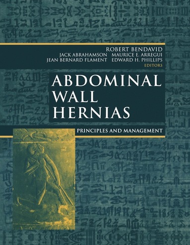 bokomslag Abdominal Wall Hernias