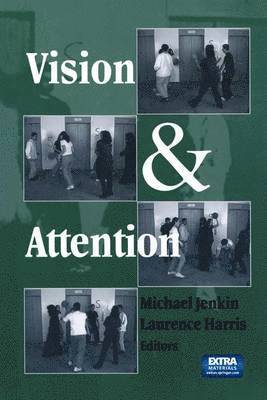 bokomslag Vision and Attention