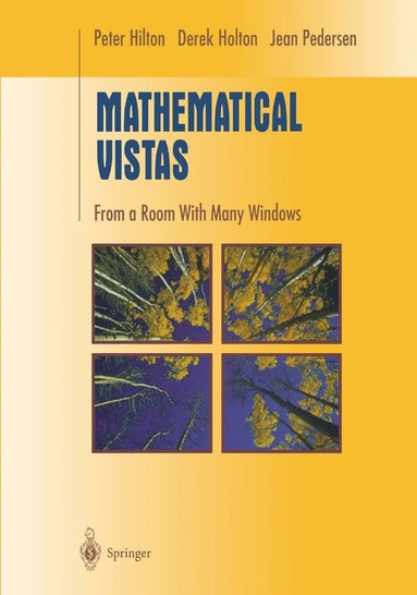 Peter Hilton, Derek Holton, Jean Pedersen - Mathematical Vistas, Inbunden