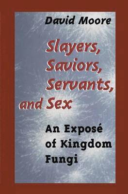 bokomslag Slayers, Saviors, Servants and Sex