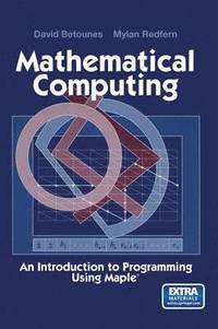 bokomslag Mathematical Computing