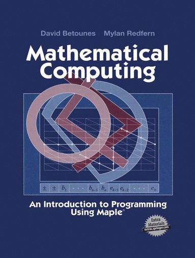 bokomslag Mathematical Computing