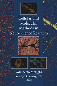 bokomslag Cellular and Molecular Methods in Neuroscience Research