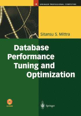 Database Performance Tuning and Optimization 1