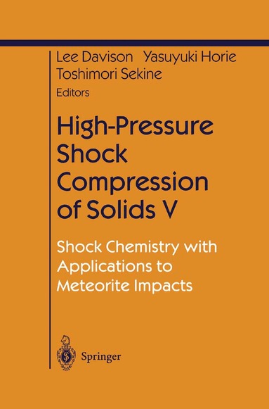 Lee Davison, Yasuyuki Horie, Lee Davison, Yasuyuki Horie, Toshimori Sekine - High-Pressure Shock Compression of Solids V, Inbunden