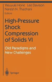 bokomslag High-Pressure Shock Compression of Solids VI: Old Paradigms and New Challenges