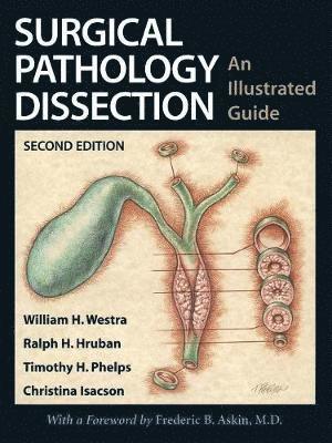 Surgical Pathology Dissection 1