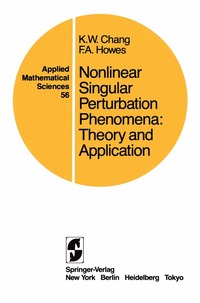 bokomslag Nonlinear Singular Perturbation Phenomena