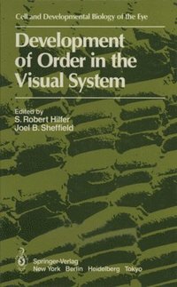 bokomslag Development of Order in the Visual System