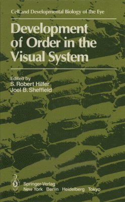 Development of Order in the Visual System 1