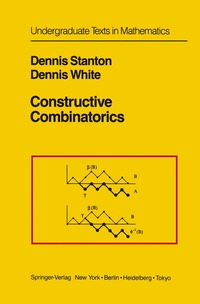 bokomslag Constructive Combinatorics