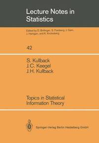 bokomslag Topics in Statistical Information Theory