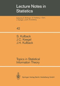 bokomslag Topics in Statistical Information Theory