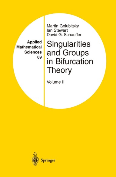 bokomslag Singularities and Groups in Bifurcation Theory