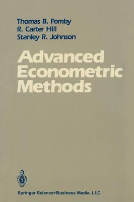 bokomslag Advanced Econometric Methods