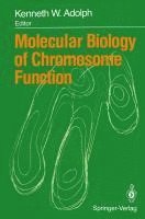 bokomslag Molecular Biology of Chromosome Function