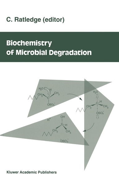 Stephen A. Norton, S.E. Lindberg, A.L. Page - Acidic Precipitation, Inbunden