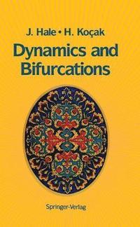 bokomslag Dynamics and Bifurcations