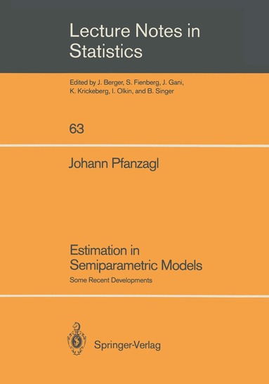 Johann Pfanzagl - Estimation in Semiparametric Models, Häftad