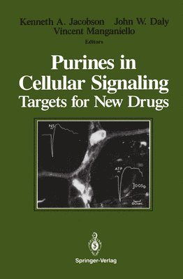 bokomslag Purines in Cellular Signaling: Targets for New Drugs