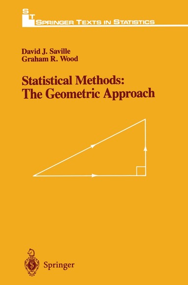 bokomslag Statistical Methods: The Geometric Approach