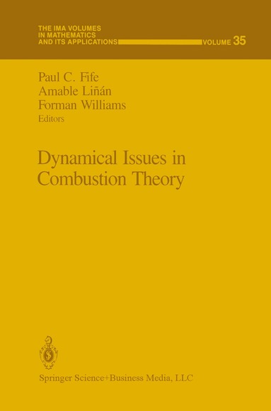 Paul C. Fife, Amable Linan, Forman Williams - Dynamical Issues in Combustion Theory, Inbunden