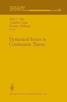 Dynamical Issues in Combustion Theory 1