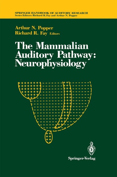 A. N. Popper, Richard R. Fay - Mammalian Auditory Pathway: Neurophysiology, Häftad