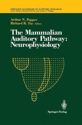 A. N. Popper, Richard R. Fay, Arthur N. Popper - Mammalian Auditory Pathway: Neurophysiology, Häftad