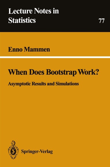 Enno Mammen - When Does Bootstrap Work?, Häftad
