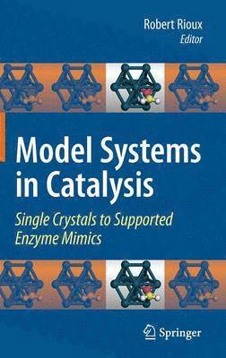 bokomslag Model Systems in Catalysis