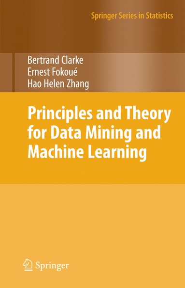 bokomslag Principles and Theory for Data Mining and Machine Learning