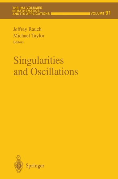 Jeffrey Rauch, Michael Taylor - Singularities and Oscillations, Inbunden