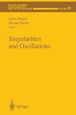 bokomslag Singularities and Oscillations