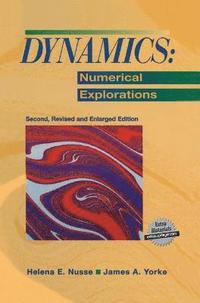 bokomslag Dynamics: Numerical Explorations