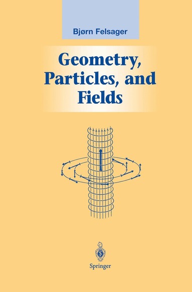 bokomslag Geometry, Particles, and Fields