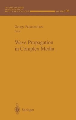 bokomslag Wave Propagation in Complex Media