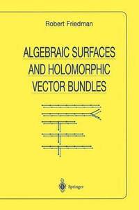 bokomslag Algebraic Surfaces and Holomorphic Vector Bundles