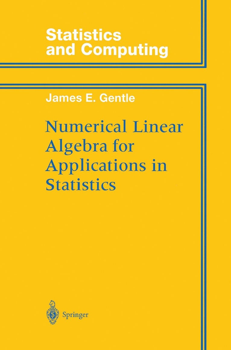 James E. Gentle - Numerical Linear Algebra for Applications in Statistics, Inbunden