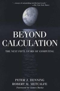 bokomslag Beyond Calculation